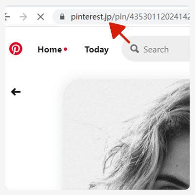 copy pinterest post url